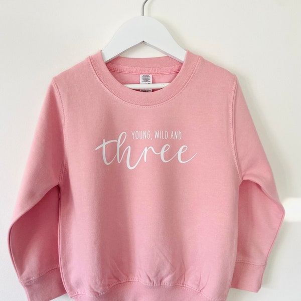 Young, Wild and Three Third Birthday Celebration Sweatshirt, Third Birthday Jumper, Children’s Third Birthday Gift, Kids Birthday Sweatshirt