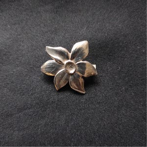 May include: A silver flower-shaped brooch with a textured surface.