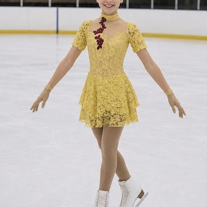 princess ice skating dress Princess on Ice Skating Dress