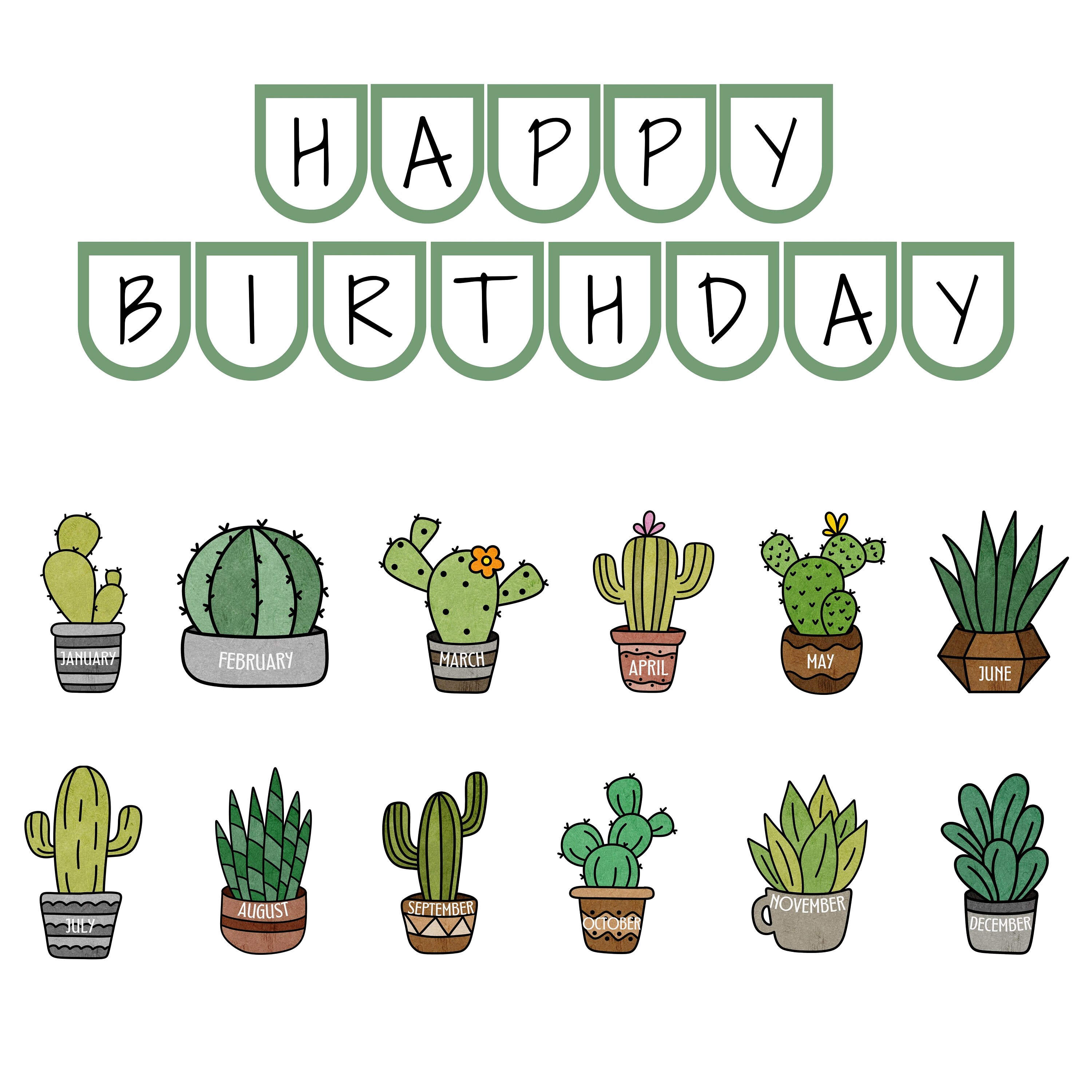 Cactus Classroom Birthday Chart: Plant Bulletin Board Display (digital ...