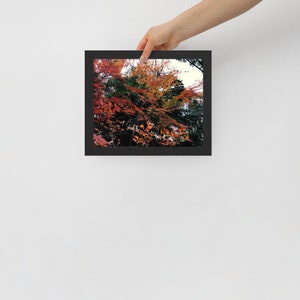 Blick durchs Fenster gerahmtes Poster