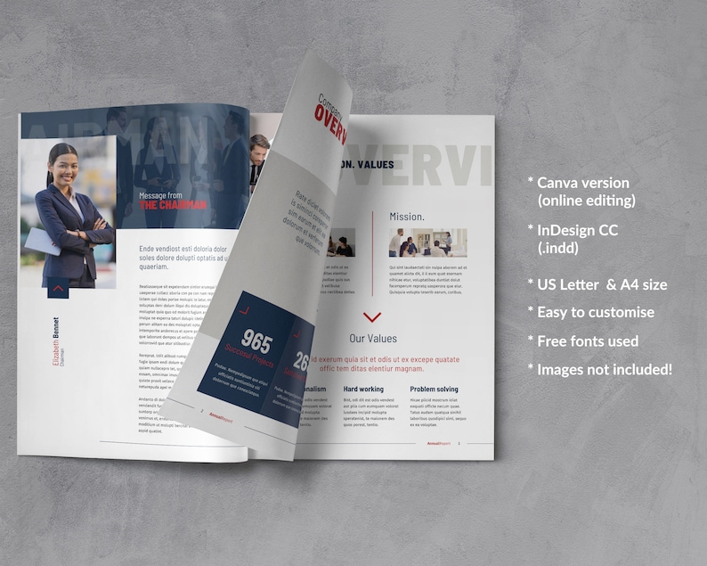 May include: A brochure mockup with a red, white, and blue color scheme. The brochure is open to a page with the text "Company Overview, Mission, Values". The other page has the text "Message from the Chairman".