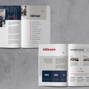 May include: A two-page company overview document with a table of contents, company overview, and vision, mission, and values sections. The document includes a company overview with a mission statement, vision statement, and values. The document also includes a table of contents with a list of topics, including company overview, mission, vision, values, and financial plan. The document is designed to be informative and engaging, with a clean and modern layout.