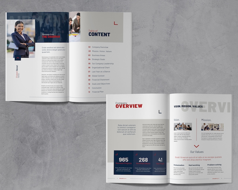 May include: A two-page company overview document with a table of contents, company overview, and vision, mission, and values sections. The document includes a company overview with a mission statement, vision statement, and values. The document also includes a table of contents with a list of topics, including company overview, mission, vision, values, and financial plan. The document is designed to be informative and engaging, with a clean and modern layout.