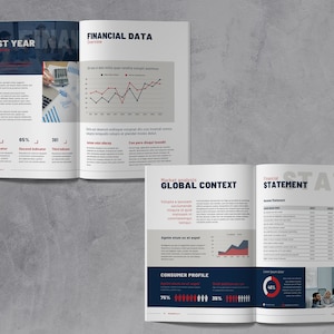 May include: A financial report with charts and graphs showing data for the last year. The report includes a section on global context, consumer profile, and financial statement. The report is printed on white paper with a blue and red color scheme.