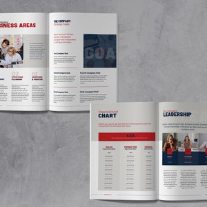 May include: A brochure with a red and blue color scheme. The brochure is open to a page with the title "Our Company Business Areas" and a page with the title "The Company Strategic Goals". The brochure also includes an organizational chart and a section on company leadership.