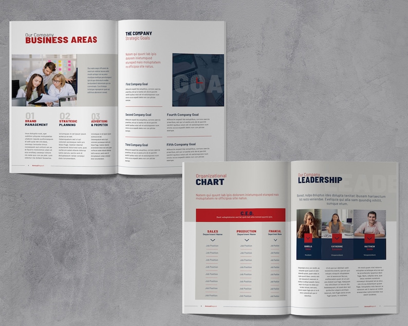 May include: A brochure with a red and blue color scheme. The brochure is open to a page with the title "Our Company Business Areas" and a page with the title "The Company Strategic Goals". The brochure also includes an organizational chart and a section on company leadership.