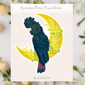 Black Cockatoo & Wattle Moon, wycinana naklejka winylowa, naklejka z australijskim ptakiem, rodzimy kwiat australijski, słodka naklejka, ręcznie robione
