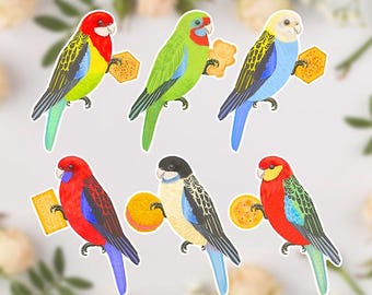 May include: Six colorful bird stickers with a biscuit in their beaks. The birds are red, green, blue, yellow, black, and red with blue and green accents. The biscuits are brown and white.