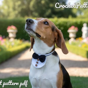 May include: A tricolor Beagle dog wearing a crocheted tuxedo collar with a black bow tie and three brown buttons. The dog is outdoors in a garden setting with the text "CrochetPatterns85" and "Crochet pattern pdf".