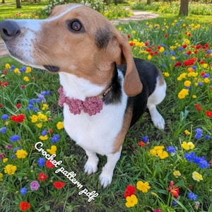 Könnte beinhalten: Ein dreifarbiger Beagle-Hund mit einem gehäkelten rosa Blumenhalsband, der in einem Feld mit bunten Wildblumen steht. Der Text "CrochetPatterns85" und "Crochet pattern pdf" ist im Bild enthalten.