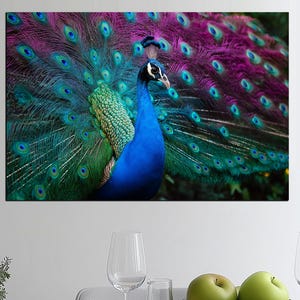Peacock Tempered Glass Wall Art – Abstract Peacock Glass Print – Elegant Bird Wall Decor – Colorful Animal Glass Art – Pink Peacock Portrait
