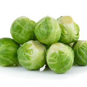 Welldales 50 Winter Brussels Sprout Seeds English Large Garden & Greenhouse Vegetables to Grow