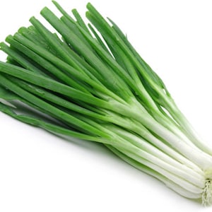 May include: A bunch of fresh green spring onions with white roots.