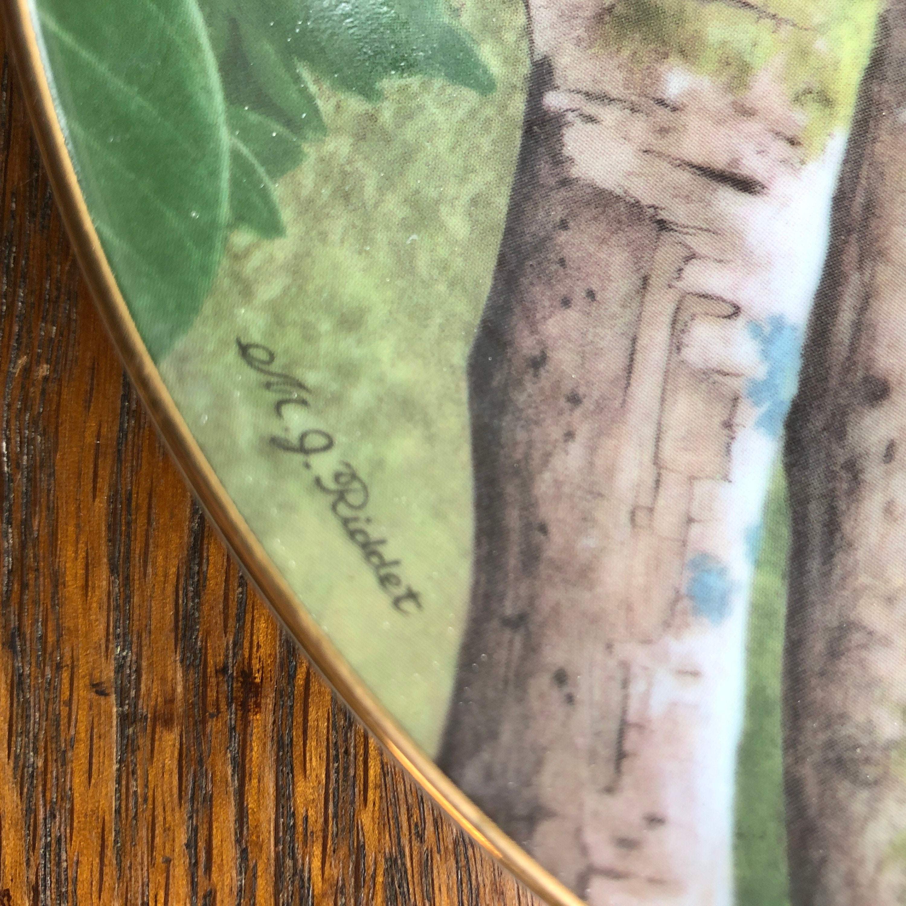 Pekin Robin Decorative Bird Plate Wall Hanging the Worlds Favorite ...