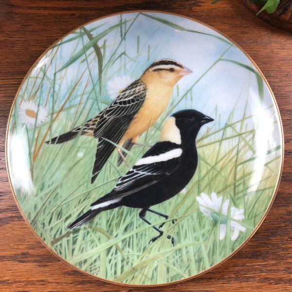 Bird Plates - Etsy