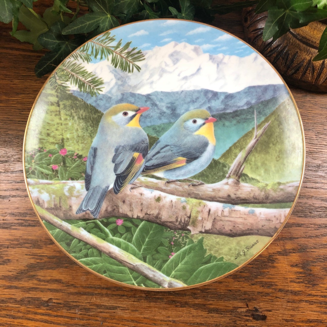 Pekin Robin Decorative Bird Plate Wall Hanging the Worlds Favorite