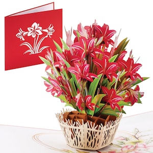 Red Amaryllis Popup Cards - 6x6 Pop Up Birthday Card, Greetings Card | Happy Birthday Card for Sisters – Gift for Women iOyounow