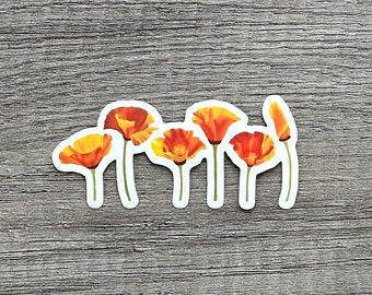 Hand-Drawn California Poppies Sticker - Vinyl, Waterproof, Removable, and Replaceable