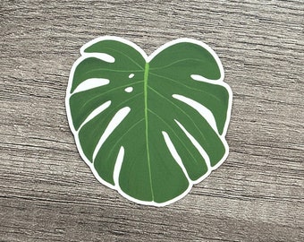 Hand-Drawn Monstera Leaf Sticker - Green Vinyl, Waterproof, Removable, and Replaceable