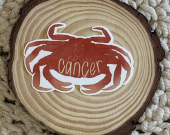 Cancer Zodiac Sign Sticker | Hand-Drawn Matte Vinyl | Astrology Crab Decal |Cancer Gift | Horoscope Sticker for Water Bottles, Laptops, Cars