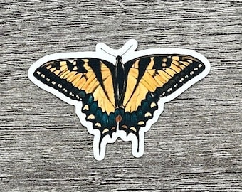 Hand-Drawn Orange Swallowtail Butterfly Sticker - Clear Vinyl, Waterproof, Removable, and Replaceable