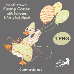 Funny goose with balloons and a party hat clipart, one silly goose birthday png, hand-painted whimsical goose clipart for sublimation