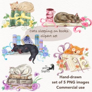 Clipart acquerello di gatto addormentato su libri, gattini shabby chic e libri png, clipart di gatto disegnato a mano stravagante per sublimazione e arredamento