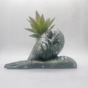 Puede incluir: Un macetero de color plateado con forma de rostro de mujer con una planta suculenta verde que crece en la parte superior de su cabeza.