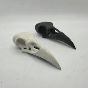 Ornamental Raven skull, 3D Printed bird skull decoration,gothic cosplay accessory, horror ornament,Halloween decor, ornithology gift idea