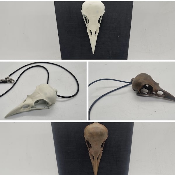 Crow skull pendant, cosplay accessory, horror fancy dress, gothic jewellery, bird head skeleton, Halloween witch costume. Creepy necklace