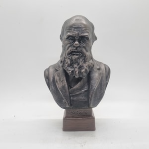 Bronze colour Charles Darwin bust, 3d print male head statue,  historic figure statuette, naturalist gift idea, bronze darwin sculpture