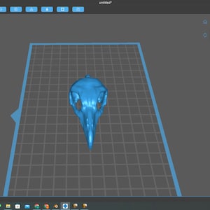 vulture skull pendant stl. 3d printable digital file. Gothic jewellery, Halloween outfit, horror cosplay, ornithology lover, bord skull