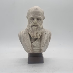 Marble effect Charles Darwin bust, 3d print male head statue,  historic figure statuette, naturalist gift idea, classic darwin sculpture
