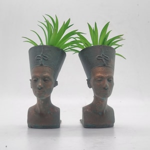 May include: Two bronze-coloured planter pots shaped like the bust of an Egyptian queen, each with a green succulent plant growing inside.