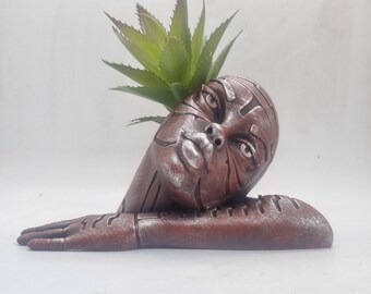 sansevieria star Sansevieria 'Star Power Series' Snake Plant