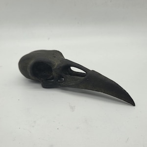 Decorative Raven skull, 3D Printed Gothic ornament, horror decoration, Creepy Halloween decor, ornithology gift idea, resin bird skull