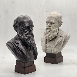 Charles Darwin bust, 3d print male head statuette, historic sculpture,  history figure statue, theory of evolution, naturalist gift idea,