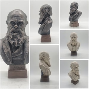 Charles Darwin bust, 3d print male head statuette, historic sculpture,  history figure statue, theory of evolution, naturalist gift idea,