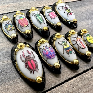 May include: A set of ten oval-shaped press-on nails. Each nail showcases a different insect design in vibrant colours on a white base, framed by a black border with gold detailing. The nails are displayed on a wooden surface.
