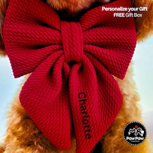 May include: A large, textured red bow with the name "Charlotte" printed in black. The bow is part of a pet accessory. The image also includes the text "Personalise your Gift FREE Gift Box" and a logo for Paw Paw Accessories.