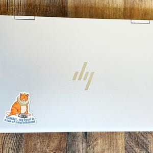 Mother my Bowl is Empty Sticker | Orange Cat Sticker | Fat Cat Sticker | Sticker for Laptop | Funny Sticker | Gift Sticker | 0090G image 5