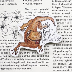 Reptile Dysfunction Sticker, Gecko Sticker, Erectile Dysfunction, Bumper Sticker, Laptop Sticker, Water Bottle Sticker, Weatherproof Sticker