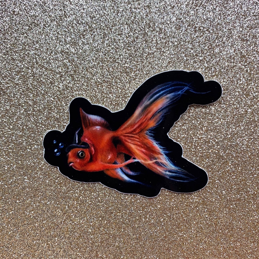 Bongo the Fish Witch Goldfish Sticker Bumper Sticker Laptop - Etsy