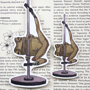 May include: A close-up of a frog wearing a kimono, sitting on a pole. The frog is brown with green spots and has a white belly. The pole is white and has a brown base. The text on the page reads "Cherry blossom is an omen of good fortune and is also an emblem of love, ... enduring metaphor ... and as such are frequently depicted in a ..."