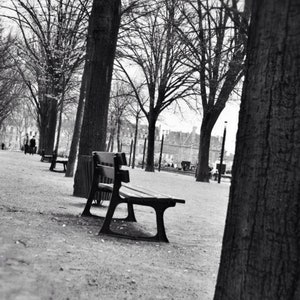 Herbsttag im Park