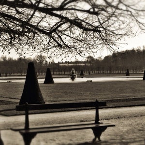 Palace Gardens