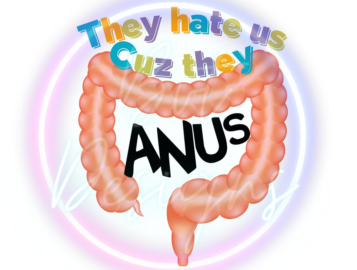 They Hate Us Cuz They Anus Png Anus Funny Png Etsy UK