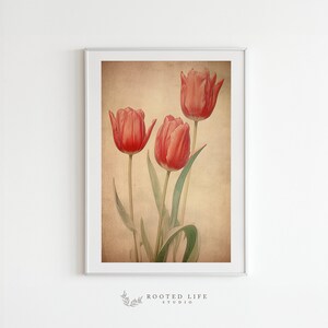 Vintage Tulips Digital Print | Red Tulips Printable | Antique Wall Art | Floral Digital Download | Tulip Wall Art | Home Decor | TE016