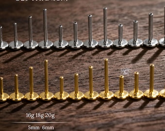 16G,18G,20G Implant Grade Titanium Threadless Replacement Post,Push Pin Flat Back,Helix Conch Tragus Nose,Earring Post,Silver,Gold,Rose Gold